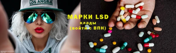 дживик Новозыбков