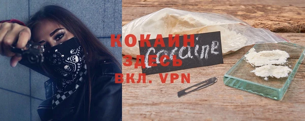 ПСИЛОЦИБИНОВЫЕ ГРИБЫ Няндома