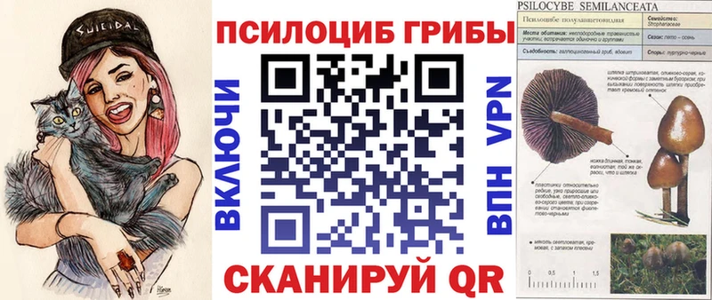 Галлюциногенные грибы мицелий  Красноуральск 